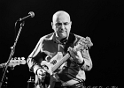 Hideaway : Eric Vandekerckhove (basse), Ralph Bonte (chant, guitare), Jean-Marie Herman (guitar), Patrick Cuivers (claviers), Geeraard de Groote (sax), Johan Guidée (batterie)
